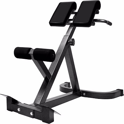 iris roman chair back extension machine lower back hyperextension bench