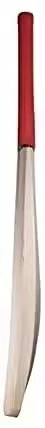 Light Weight Cricket Bat for Leather Ball-1