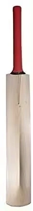 Light Weight Cricket Bat for Leather Ball-2