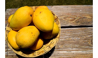MANGO
