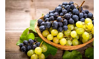 GRAPES  BLACK AND GREEN