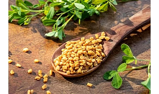 FENUGREEK SEEDS
