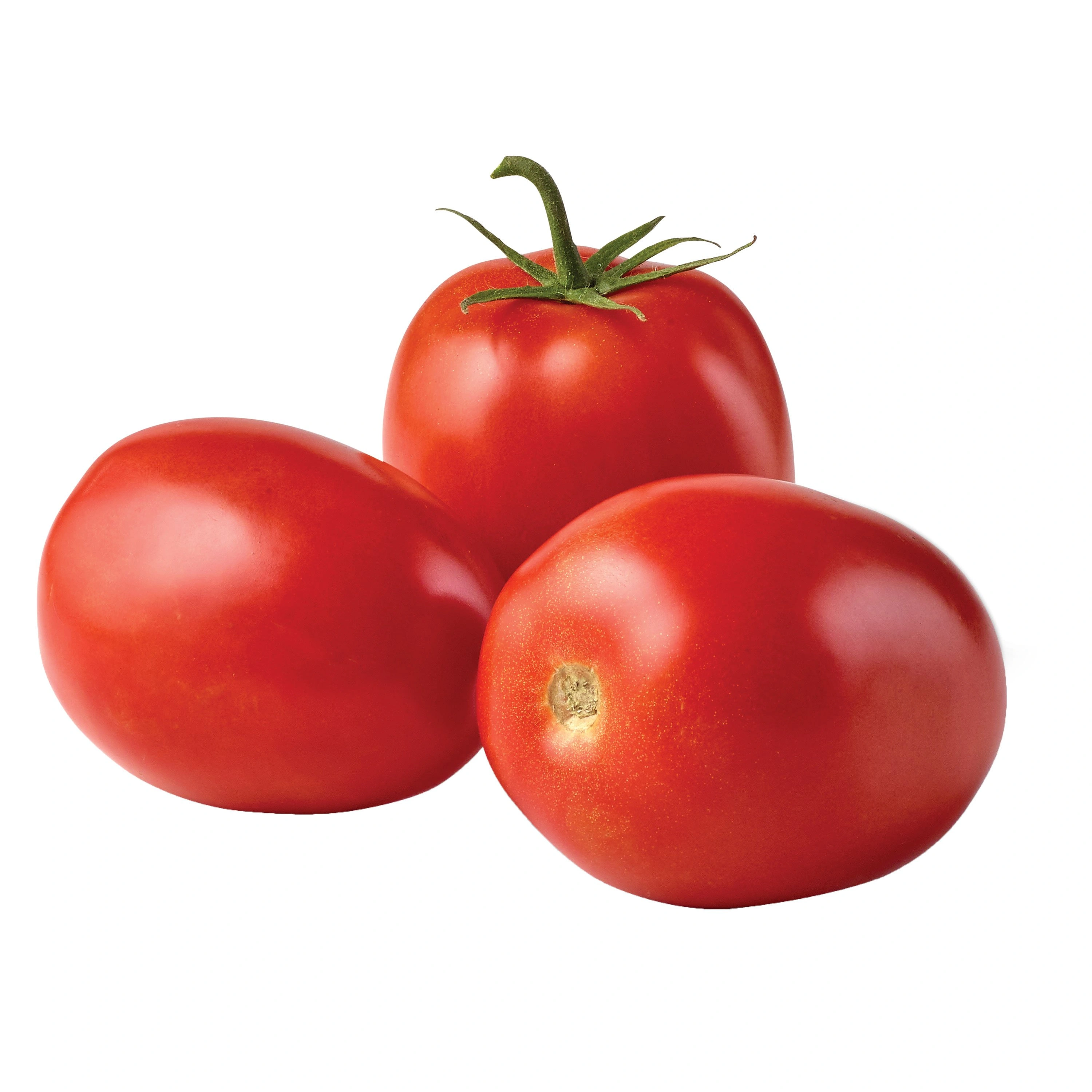 Tomatoes-12490287