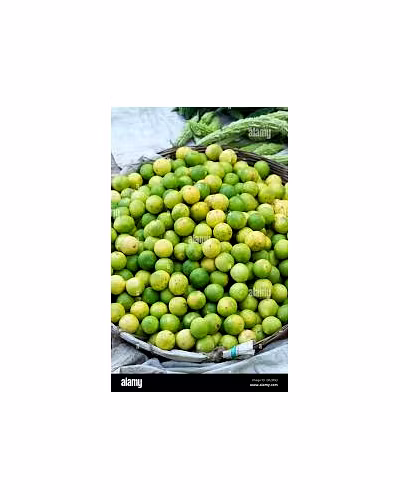 Lemon-12490289