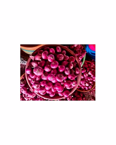 NASHIK ONION-2