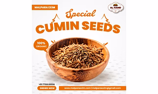Cumin seeds
