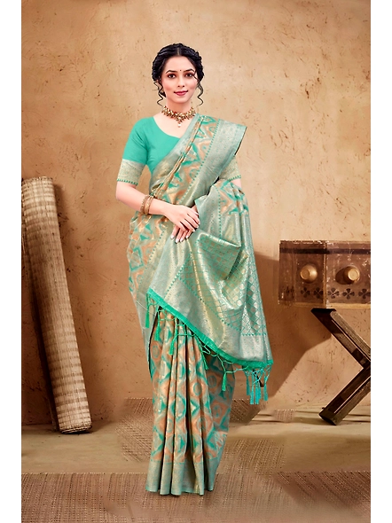 Parvati Multicolor Rapier Silk Saree