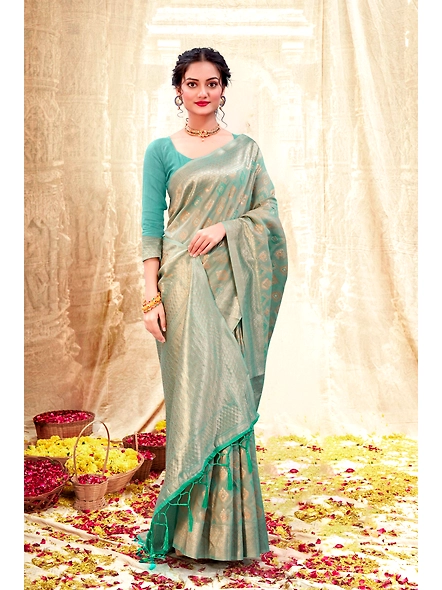 Parvati Multicolor Rapier Silk Saree-4
