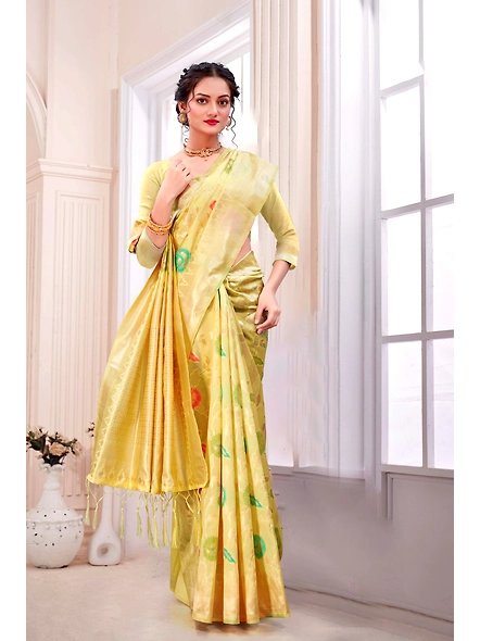 Parvati Multicolor Rapier Silk Saree-4