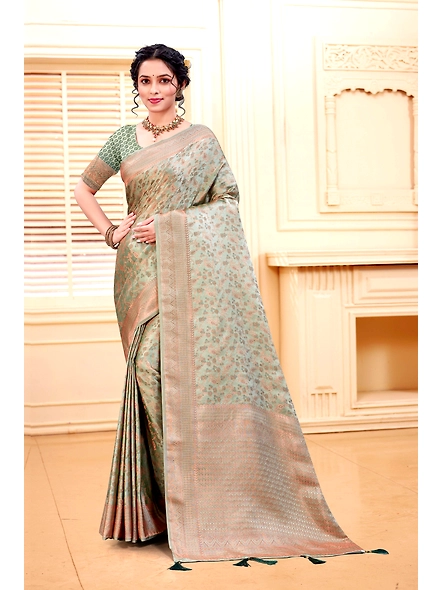 Parvati Multicolor Rapier Silk Saree-3