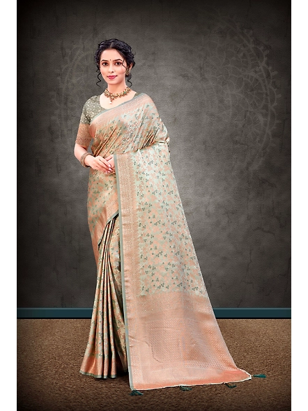 Parvati Multicolor Rapier Silk Saree