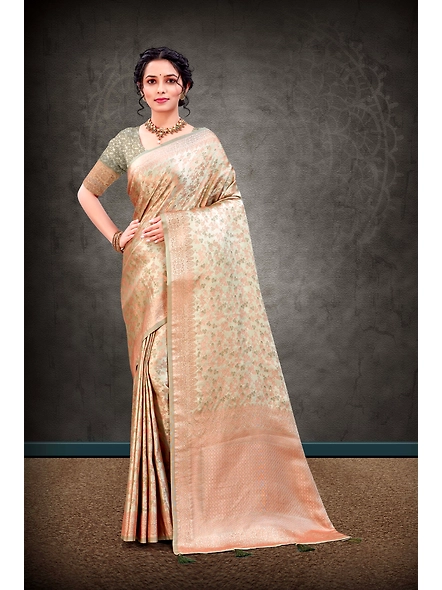 Parvati Multicolor Rapier Silk Saree