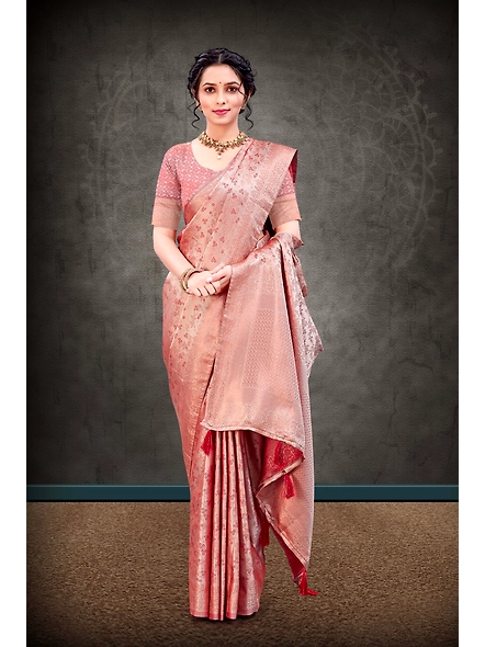 Parvati Multicolor Rapier Silk Saree-4