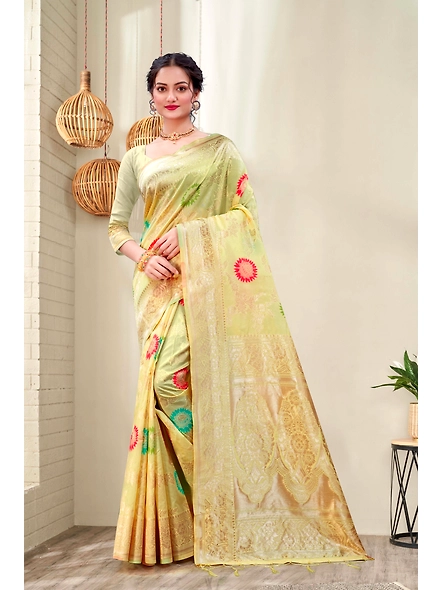 Parvati Multicolor Rapier Silk Saree