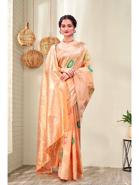 Parvati Multicolor Rapier Silk Saree-4