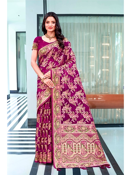 Parvati Multicolor Organza Saree