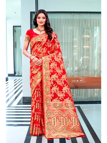 Parvati Multicolor Organza Saree