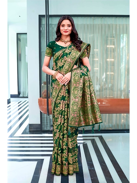 Parvati Multicolor Organza Saree-3