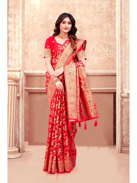 Parvati Multicolor Organza Saree-4