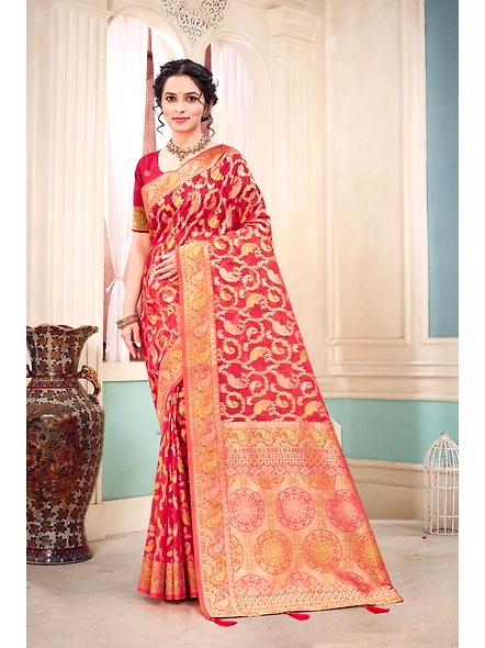 Parvati Multicolor Organza Saree