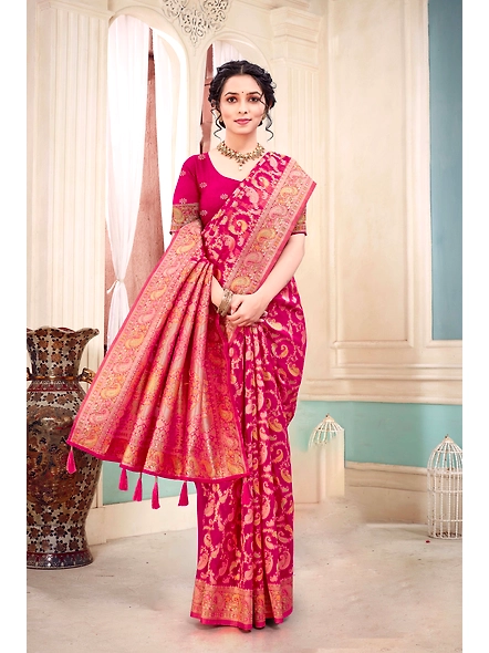 Parvati Multicolor Organza Saree-3