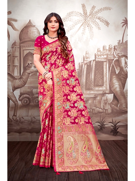 Parvati Multicolor Organza Saree-2