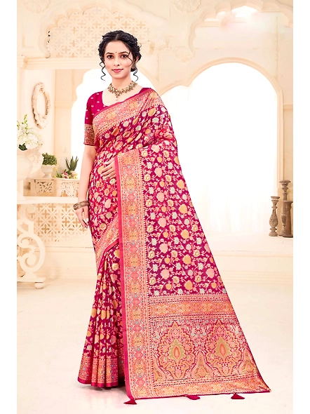 Parvati Multicolor Organza Saree-2