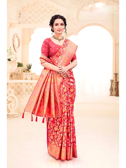 Parvati Multicolor Organza Saree-4
