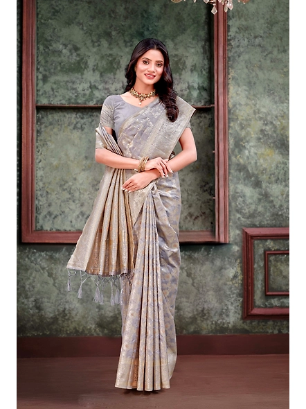 Parvati Multicolor Rapier Silk Saree-3