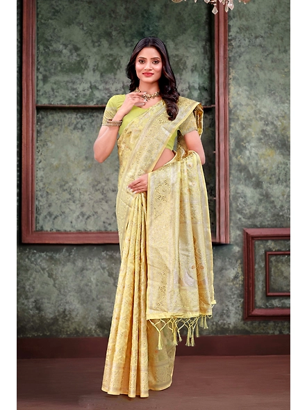 Parvati Multicolor Rapier Silk Saree-4