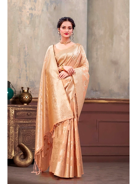 Parvati Multicolor Rapier Silk Saree-3