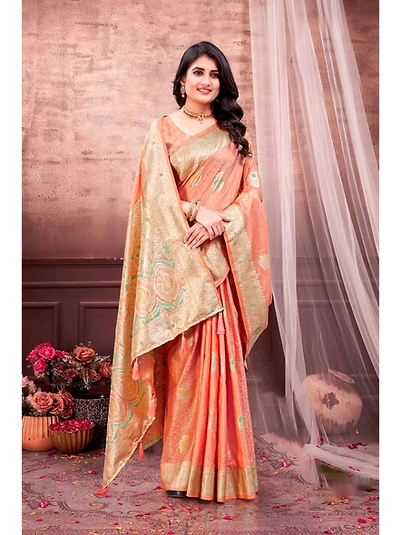 Parvati Multicolor Rapier Silk Saree-4