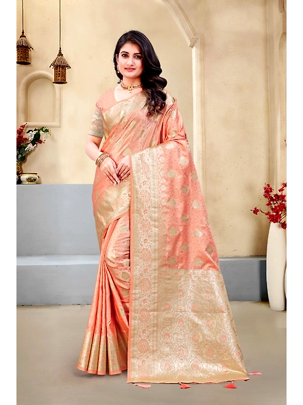 Parvati Multicolor Rapier Silk Saree