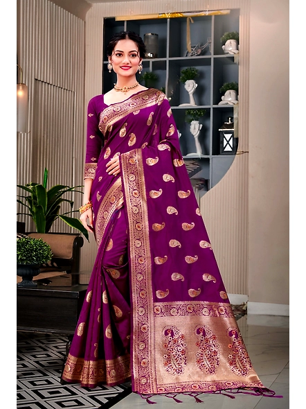 Parvati Multicolor Rapier Silk Saree