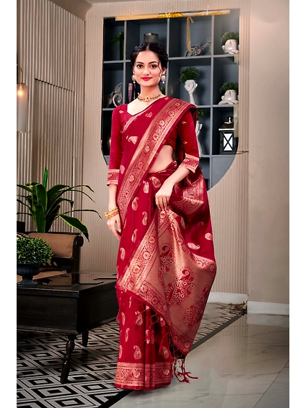 Parvati Multicolor Rapier Silk Saree-3