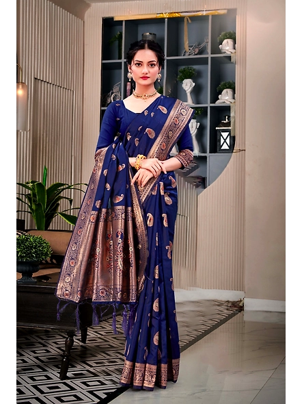 Parvati Multicolor Rapier Silk Saree-4