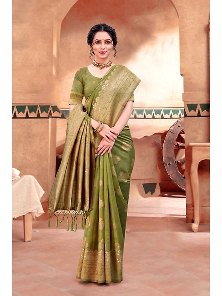 Parvati Multicolor Rapier Silk Saree-3
