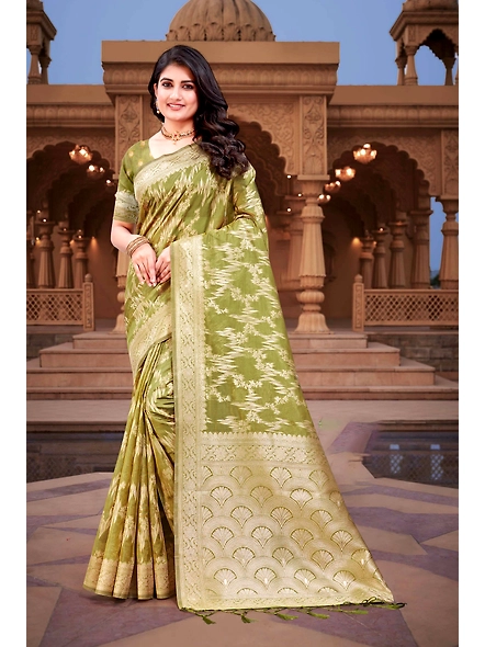 Parvati Multicolor Rapier Silk Saree