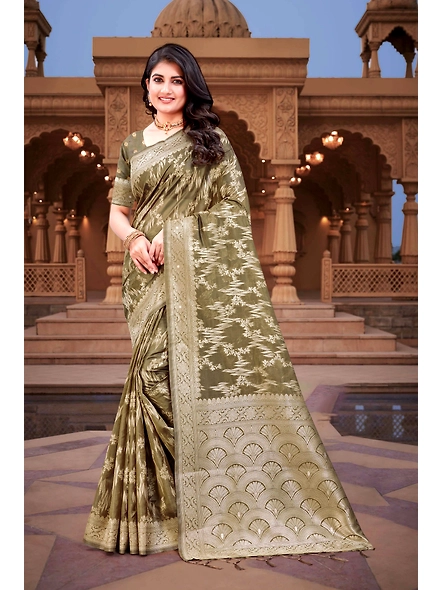 Parvati Multicolor Rapier Silk Saree-2