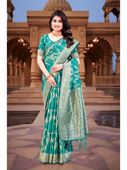 Parvati Multicolor Rapier Silk Saree-3