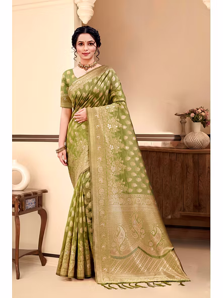 Parvati Multicolor Rapier Silk Saree-2