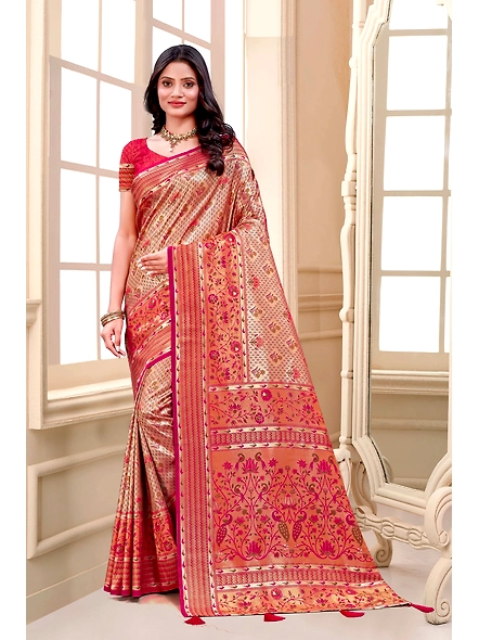 Parvati Multicolor Rapier Silk Saree