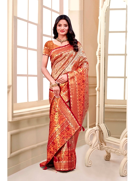 Parvati Multicolor Rapier Silk Saree-2