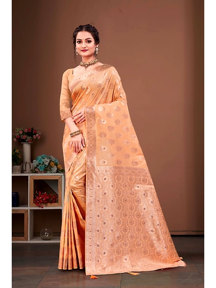 Parvati Multicolor Rapier Silk Saree