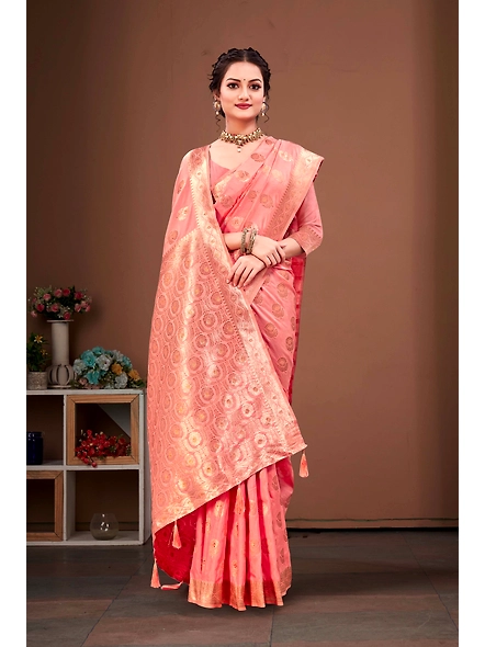 Parvati Multicolor Rapier Silk Saree-2