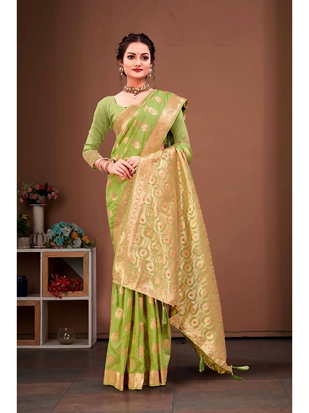 Parvati Multicolor Rapier Silk Saree-3