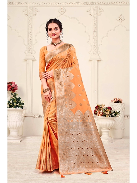 Parvati Multicolor Rapier Silk Saree