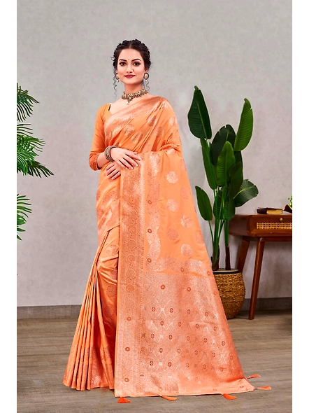 Parvati Multicolor Rapier Silk Saree