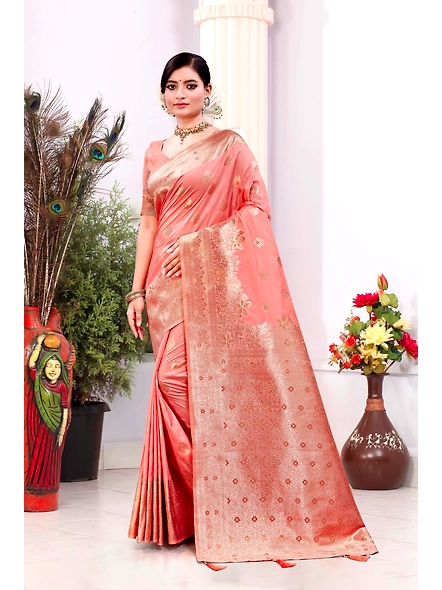 Parvati Multicolor Rapier Silk Saree