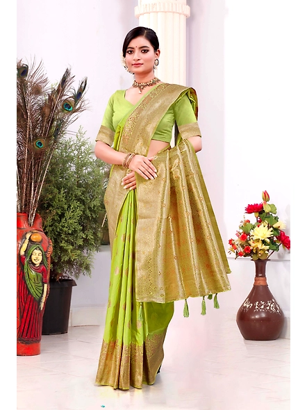 Parvati Multicolor Rapier Silk Saree-3